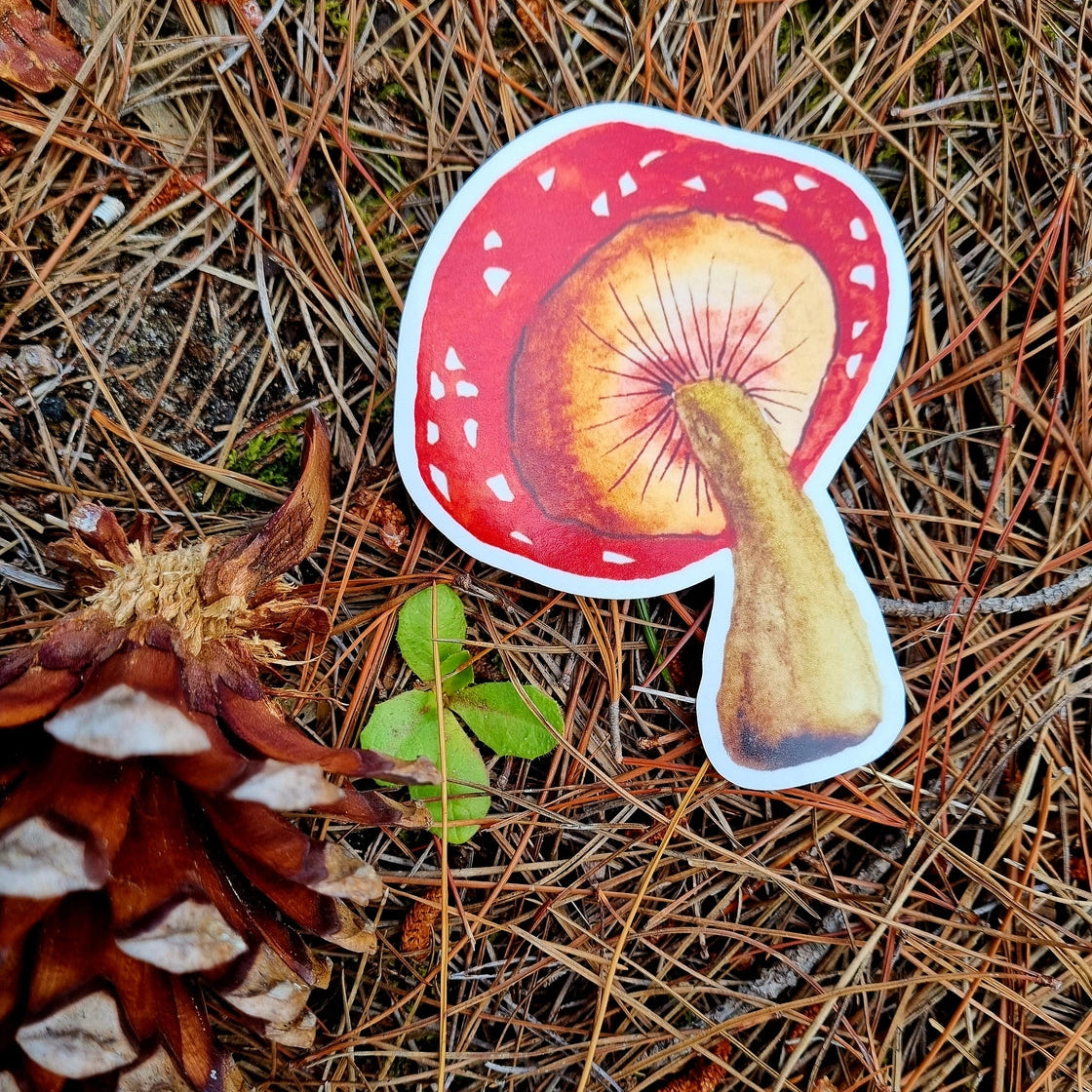 BOSA ART CO - "MUSHROOM"- Vinyl Sticker