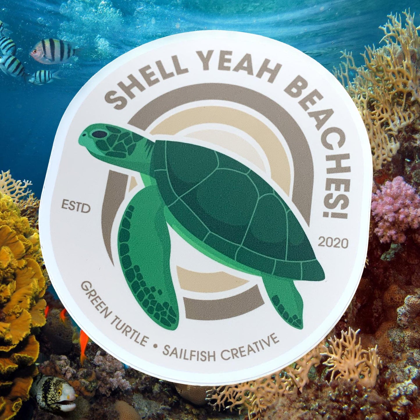 SAILFISH CREATIVE- "Shell Yeah Beaches" Turtle Pun Vinyl Sticker