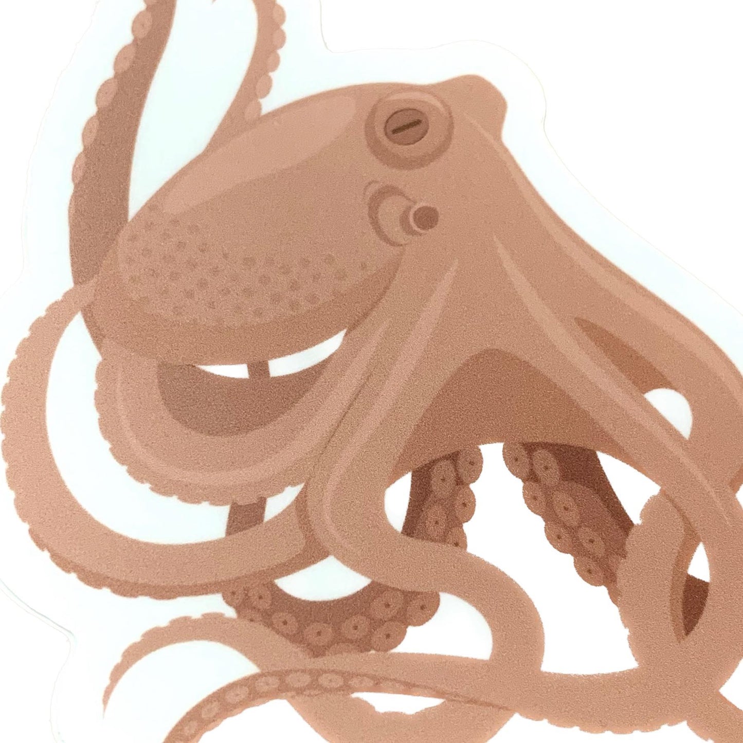SAILFISH CREATIVE- "Octopus" Vinyl Sticker