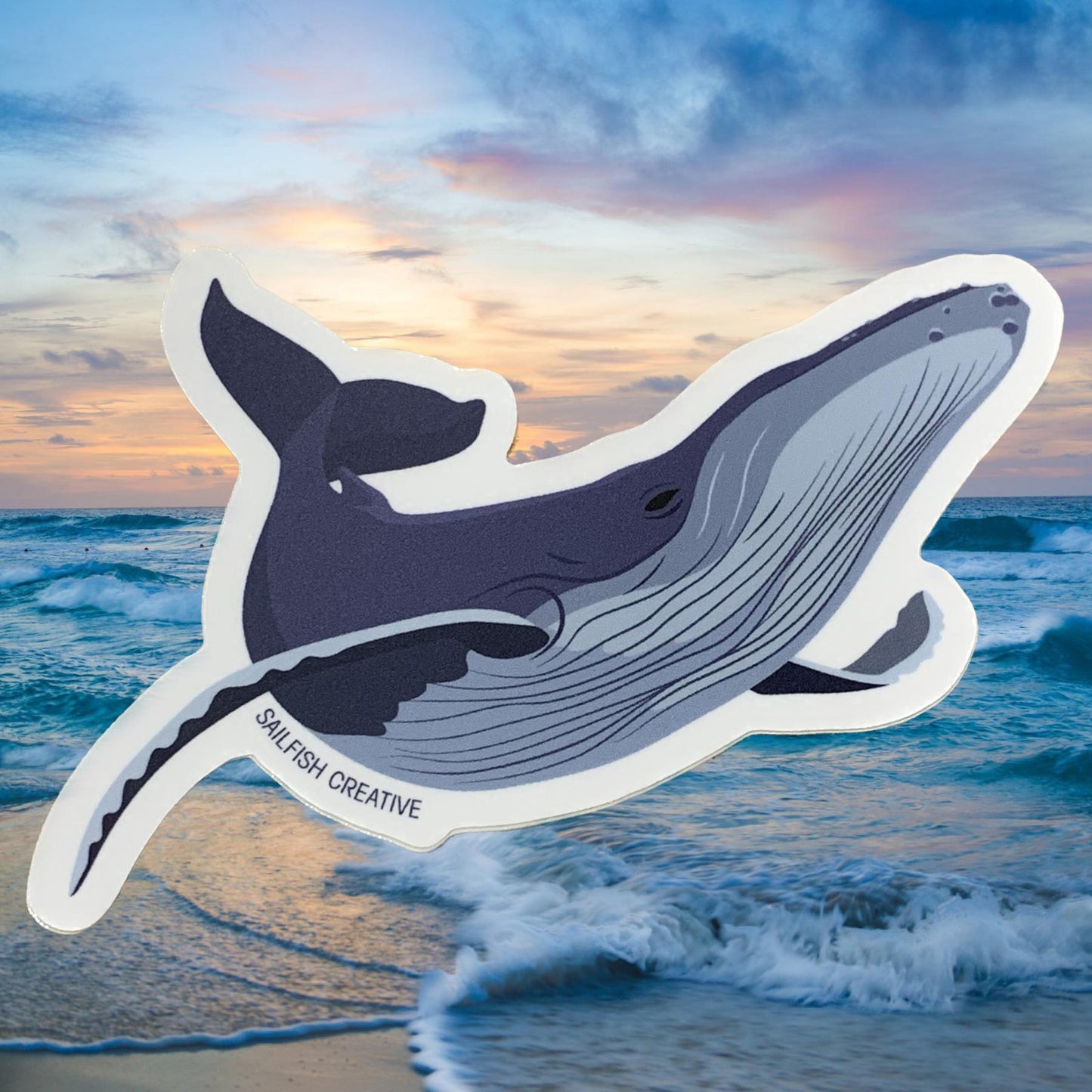 SAILFISH CREATIVE- "Humpback Whale" Vinyl Sticker