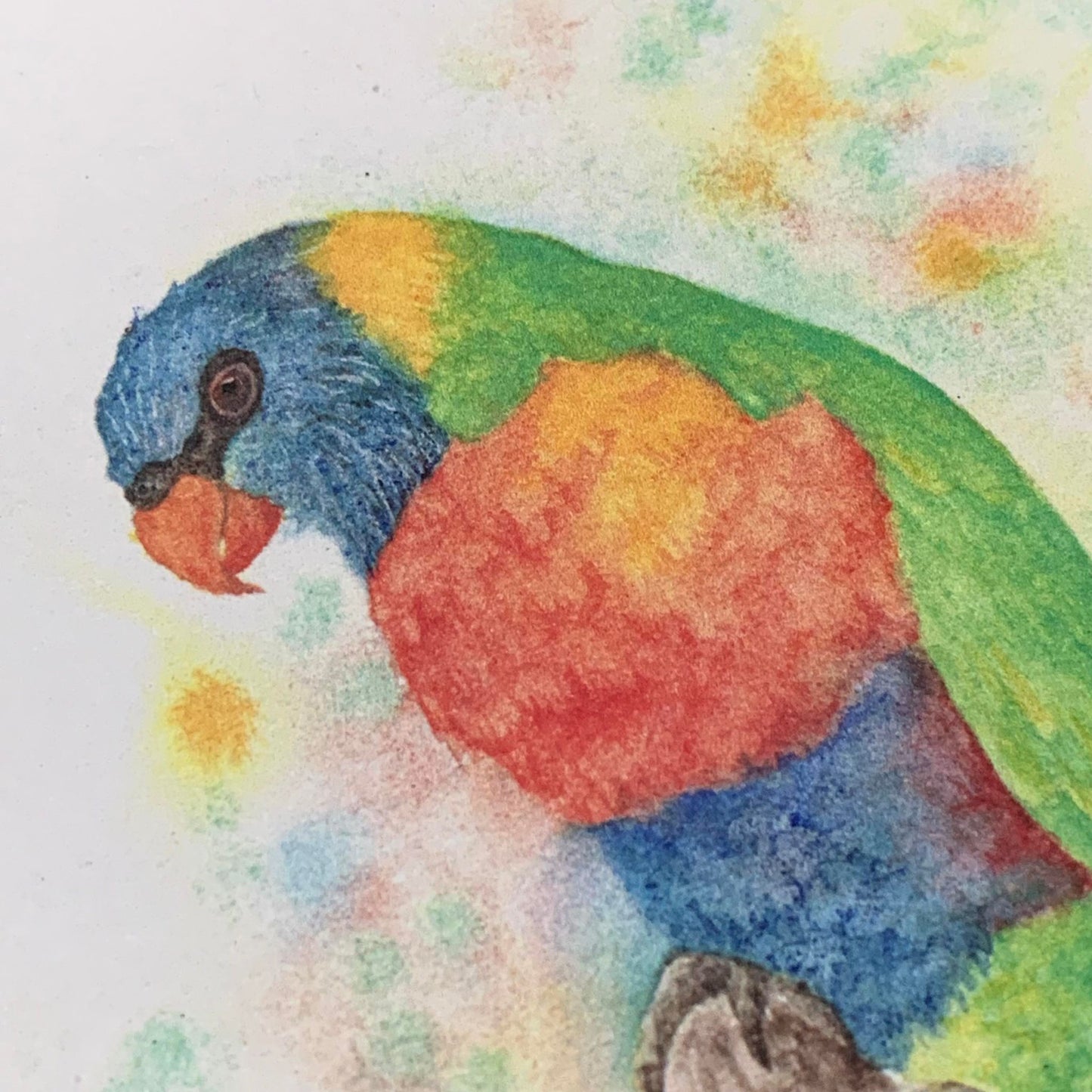 Shanna Trees Creations- Rainbow Lorikeet Regular Greeting Card