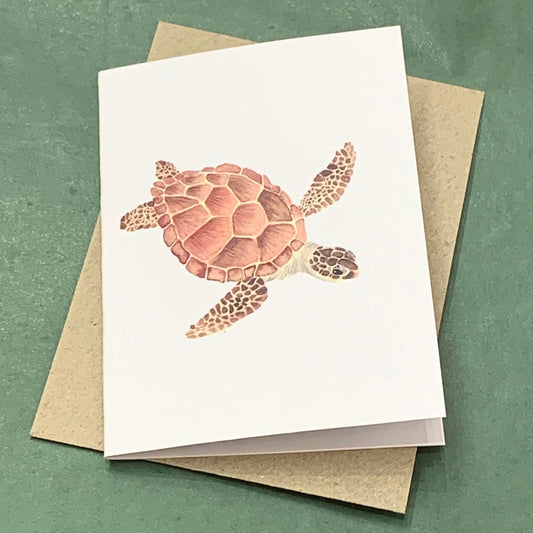 Shanna Trees Creations- Turtle Mini Greeting Card