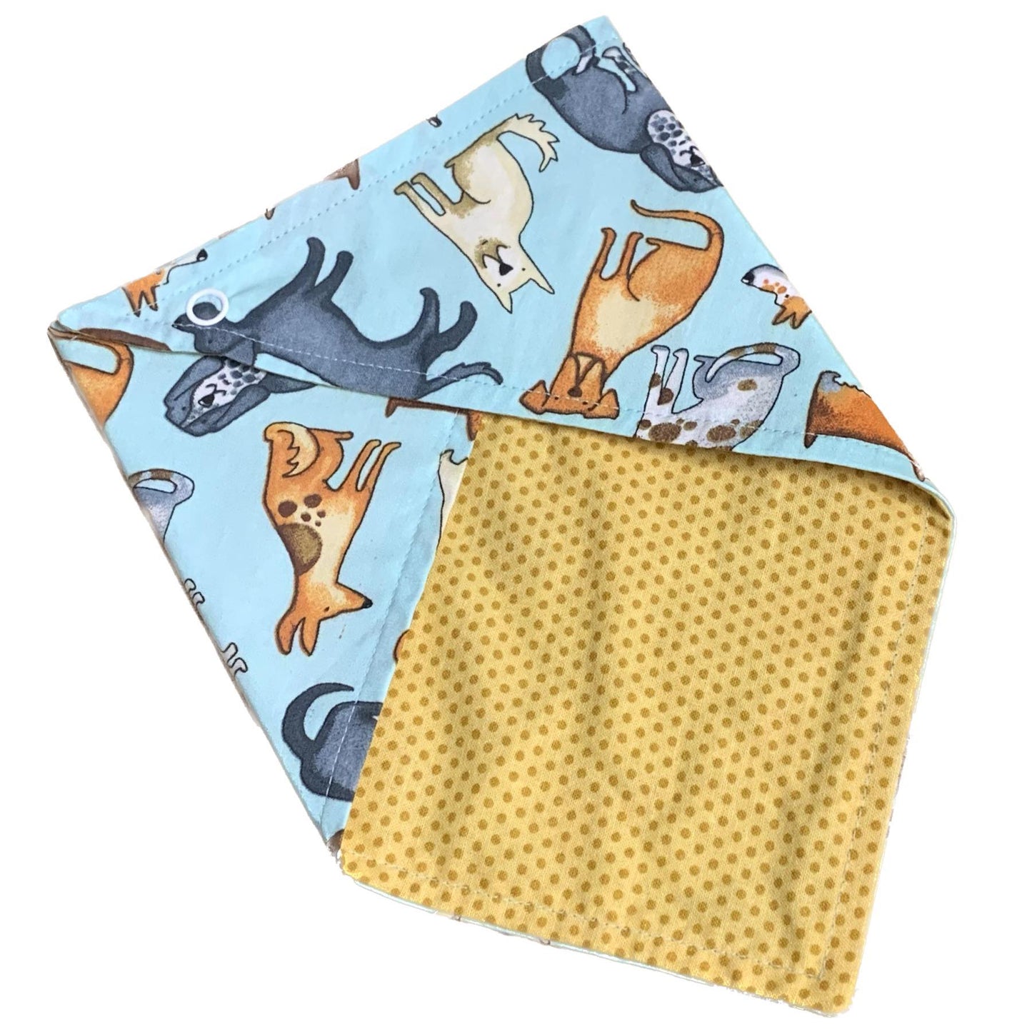 MAKIN' WHOOPEE - Medium Pet Bandana- Top Dogs with Mustard Spot