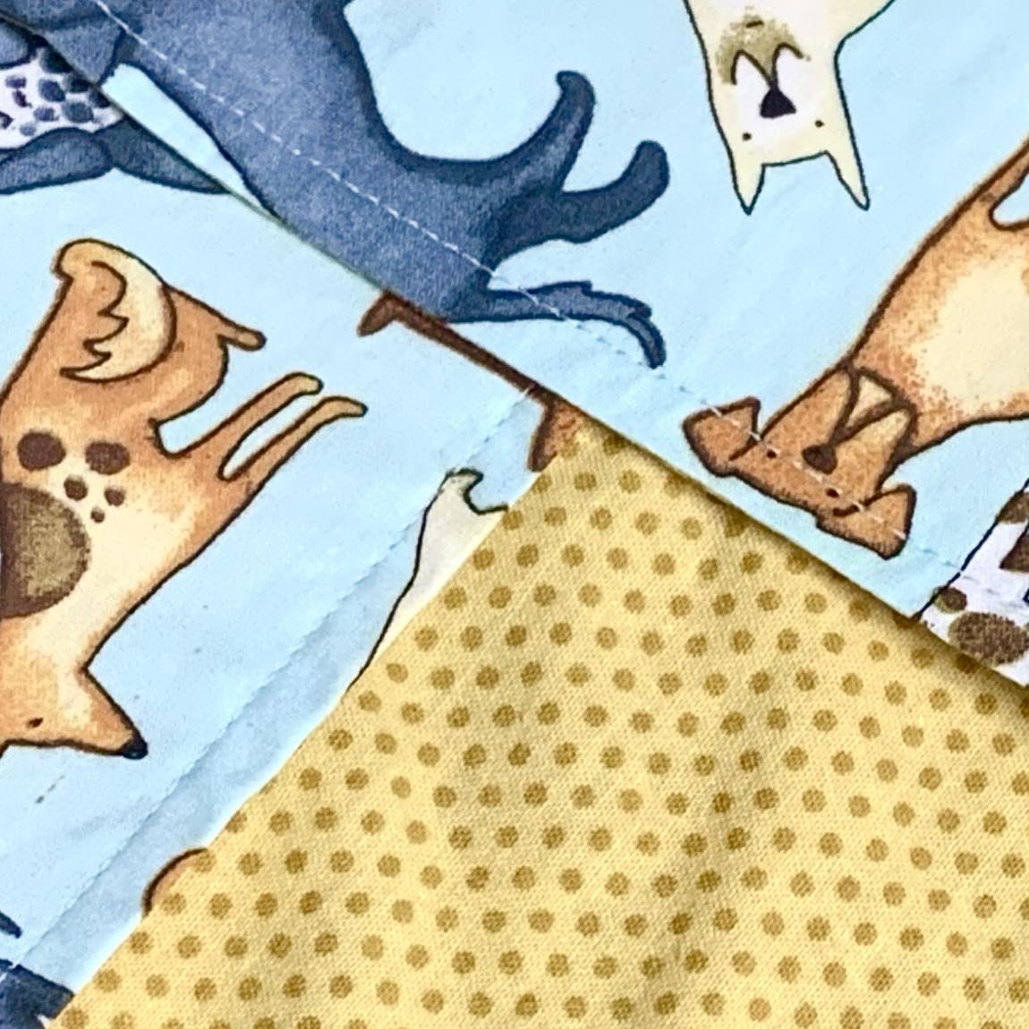 MAKIN' WHOOPEE - Medium Pet Bandana- Top Dogs with Mustard Spot