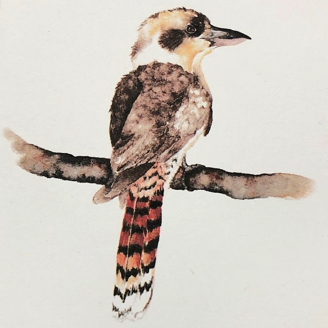 Shanna Trees Creations- Kookaburra Mini Greeting Card