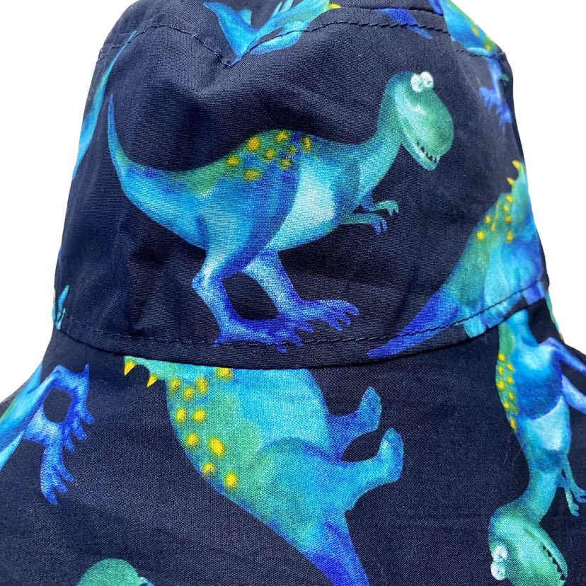 Teacups n Quilts- Dinosaurs Fabric Hat- Kids Size Large