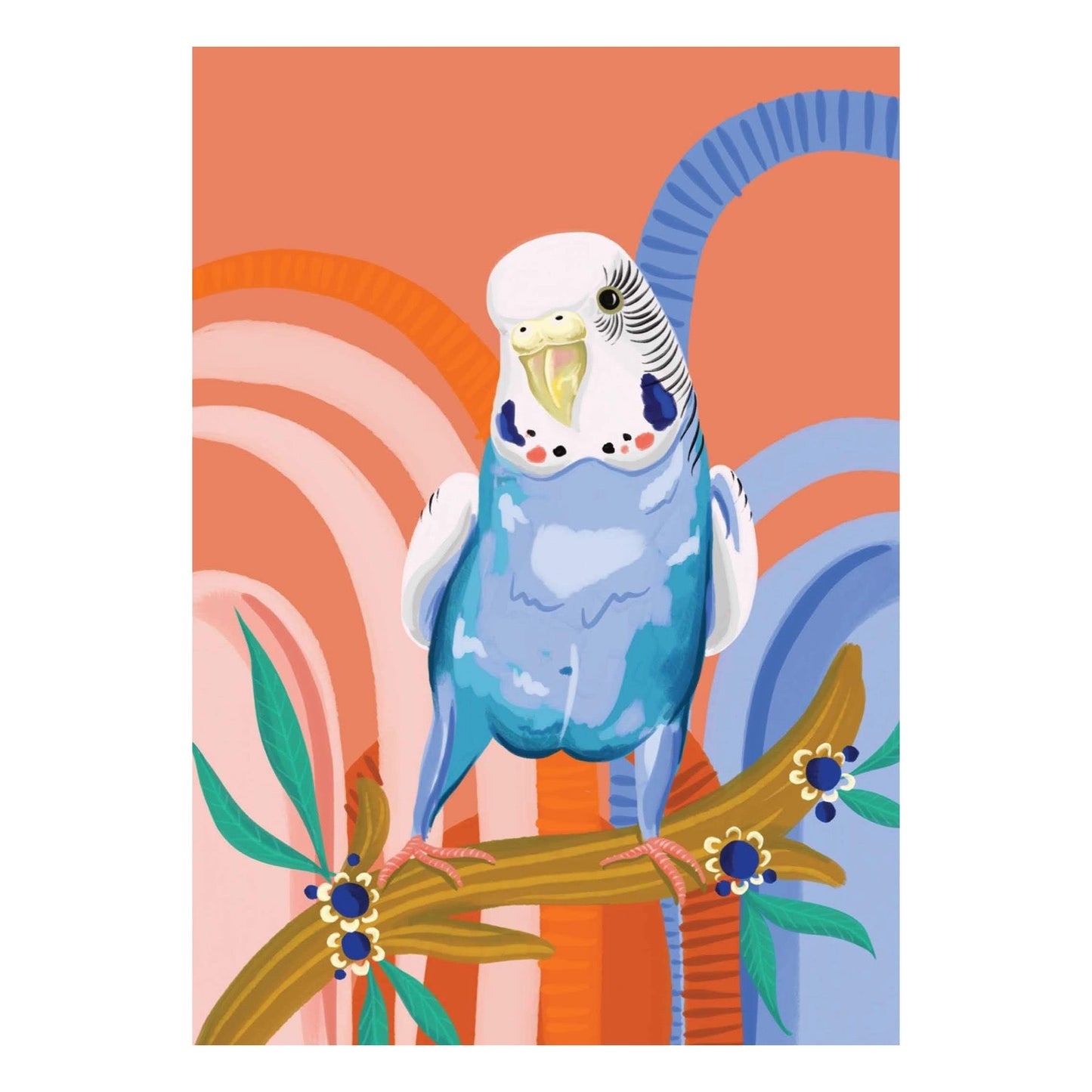 NUOVO - "Blue Budgie" Framed Image- by Emma Whitelaw