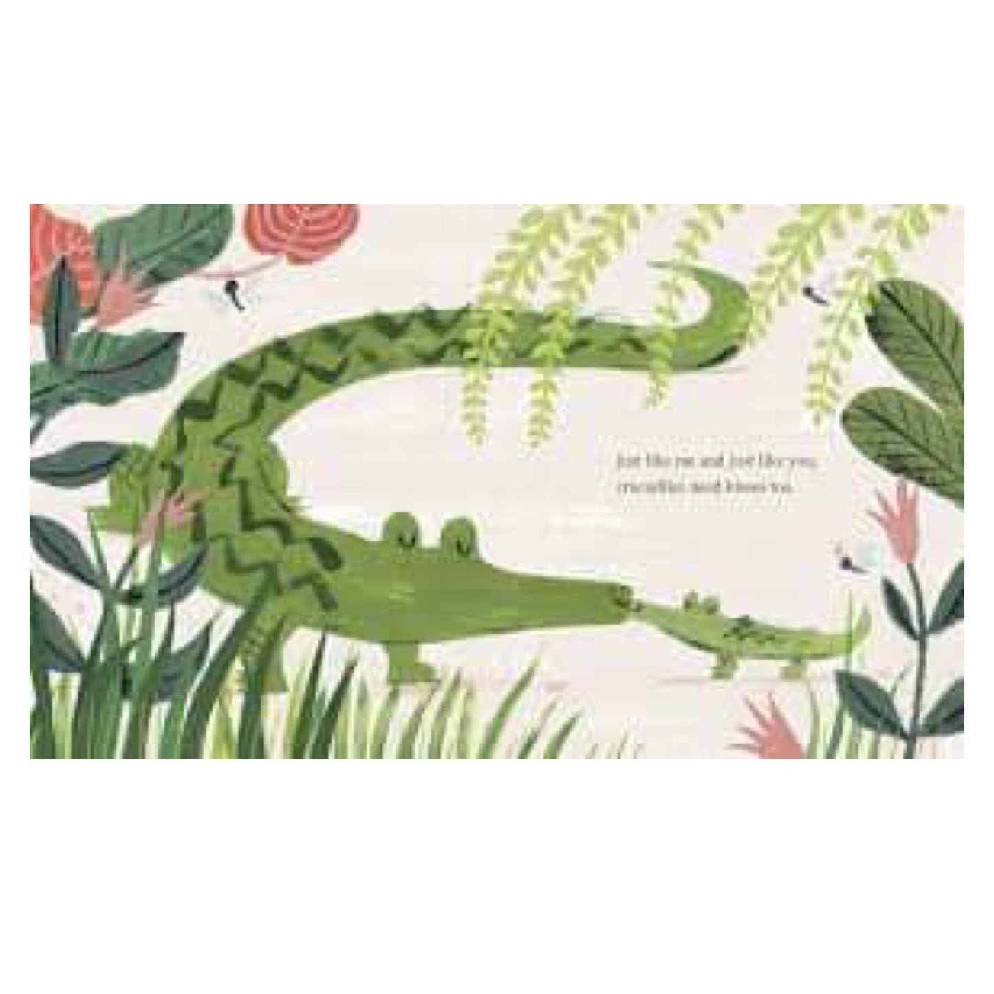 BOOKS & CO - CROCODILES NEED KISSES TOO- REBECCA COLBY