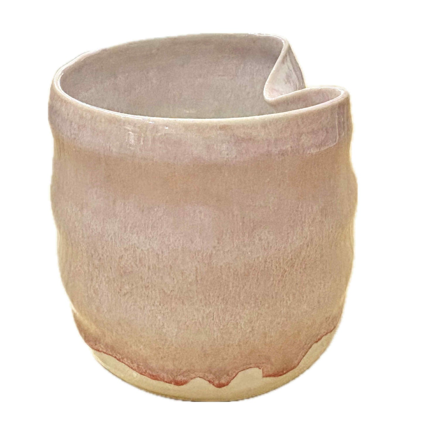 EARTH BY HAND- Smoothie/Iced Latte Cup 2