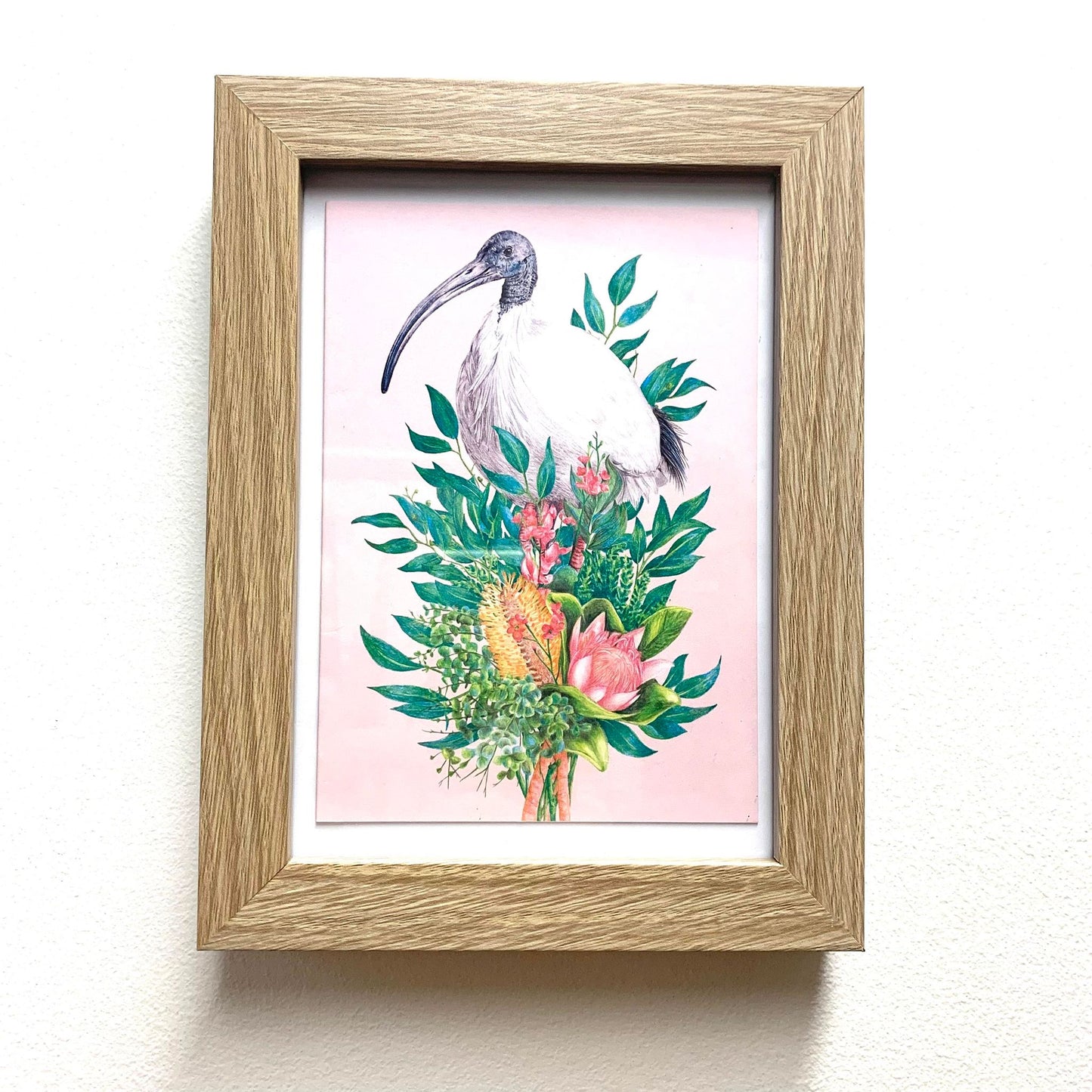 KAYLA REAY- Framed "Ibis (Bin Chicken)" Print