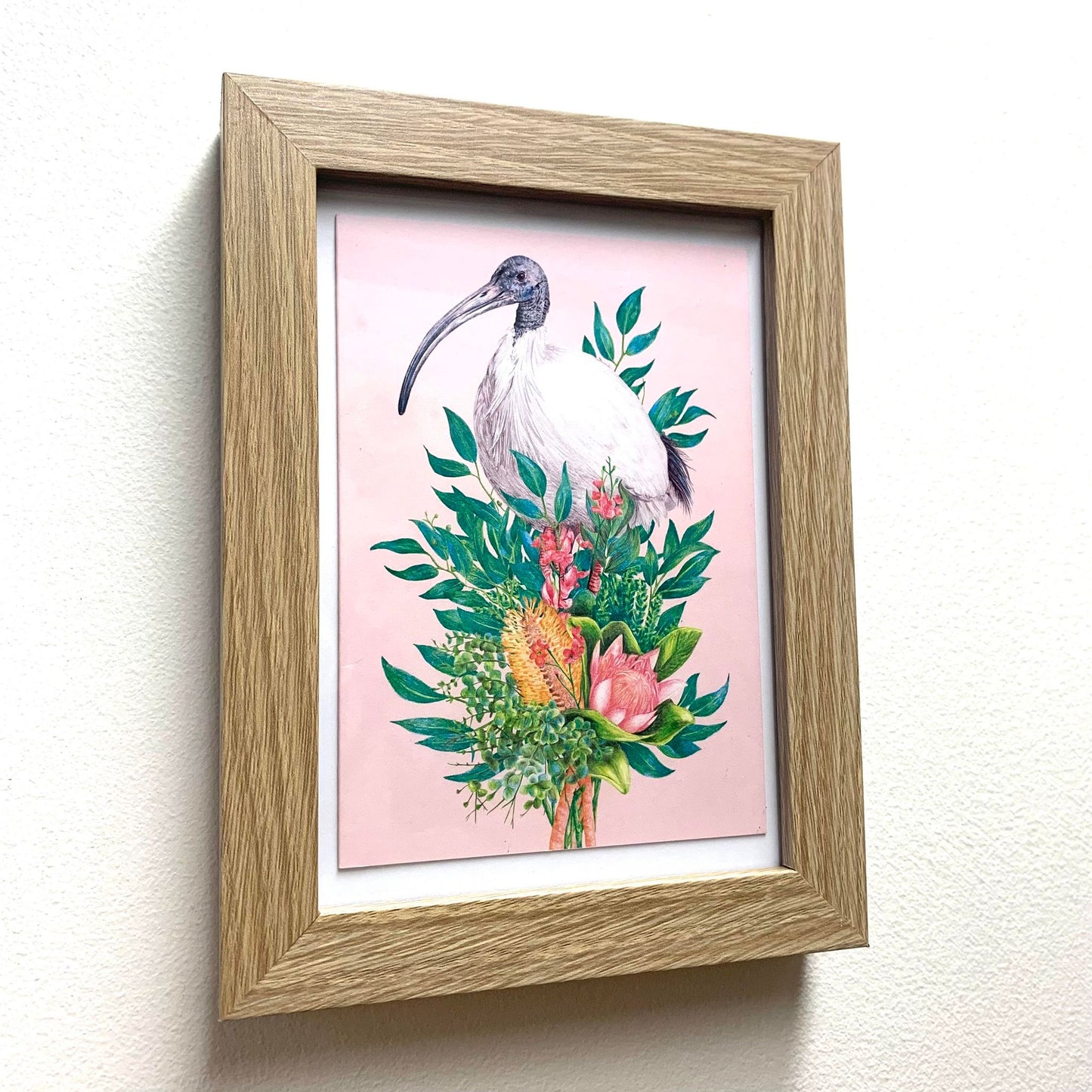 KAYLA REAY- Framed "Ibis (Bin Chicken)" Print