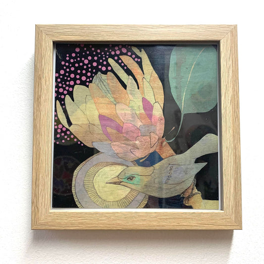 DANA KINTER - "Spotted Pardalote and Protea"- Framed Image