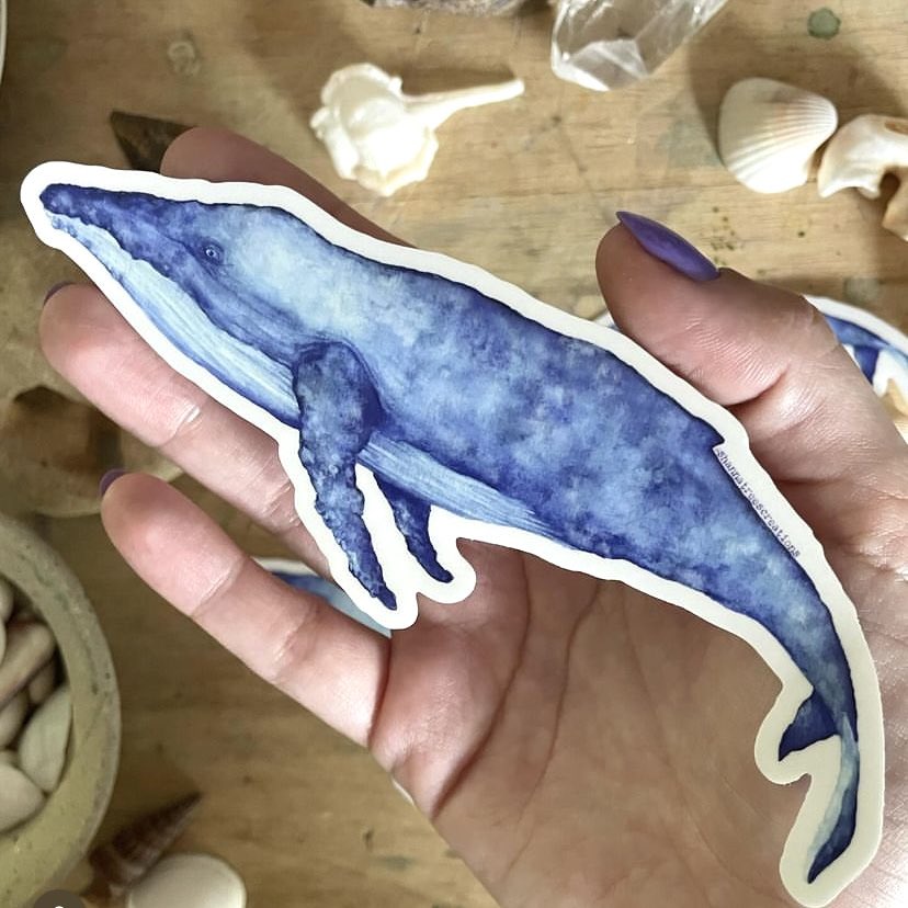 Shanna Trees Creations- Whale Large Sticker