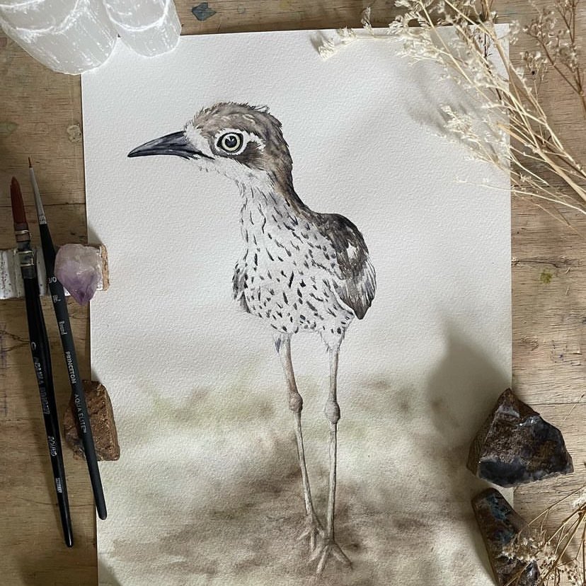 Shanna Trees Creations- Curlew Mini Greeting Card