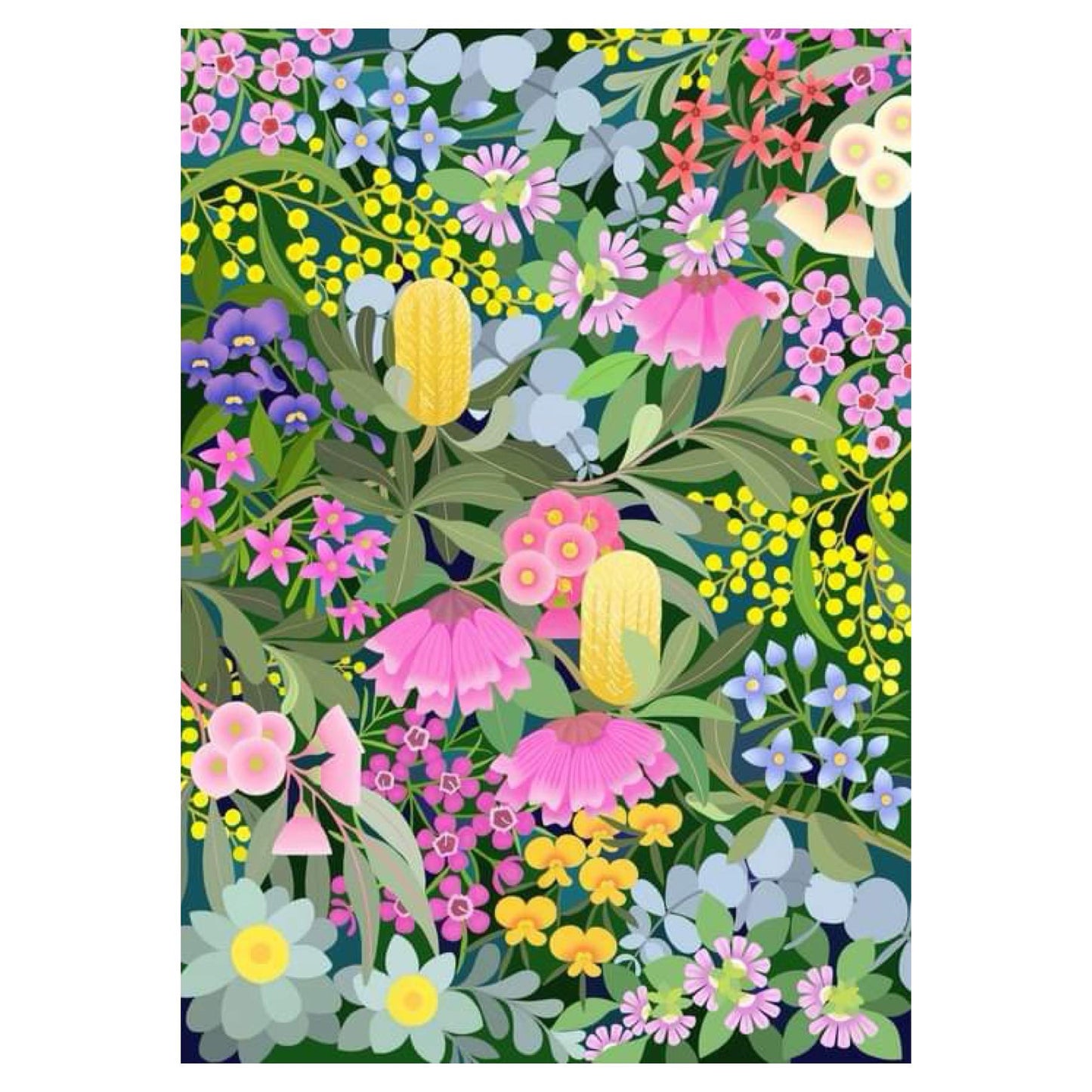 CLAIRE ISHINO- LARGE LIMITED EDITION A3 PRINTS- AUSTRALIAN NATIVE FLORA