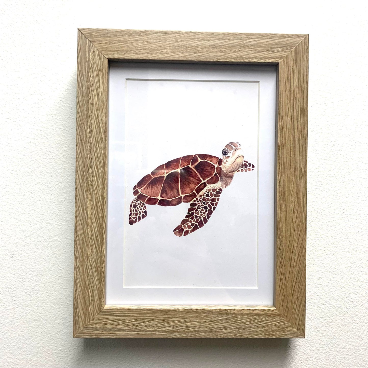 SHANNA TREES CREATIONS - Framed "Green Turtle" Print