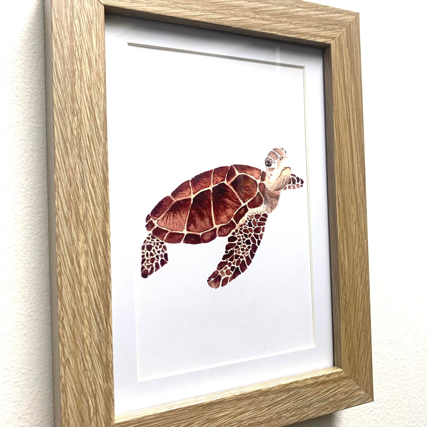 SHANNA TREES CREATIONS - Framed "Green Turtle" Print