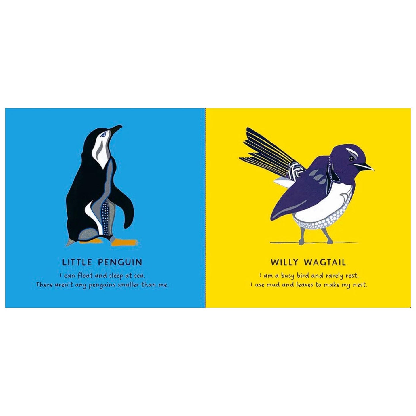 BOOKS & CO - Our Birds by Bronwyn Bancroft