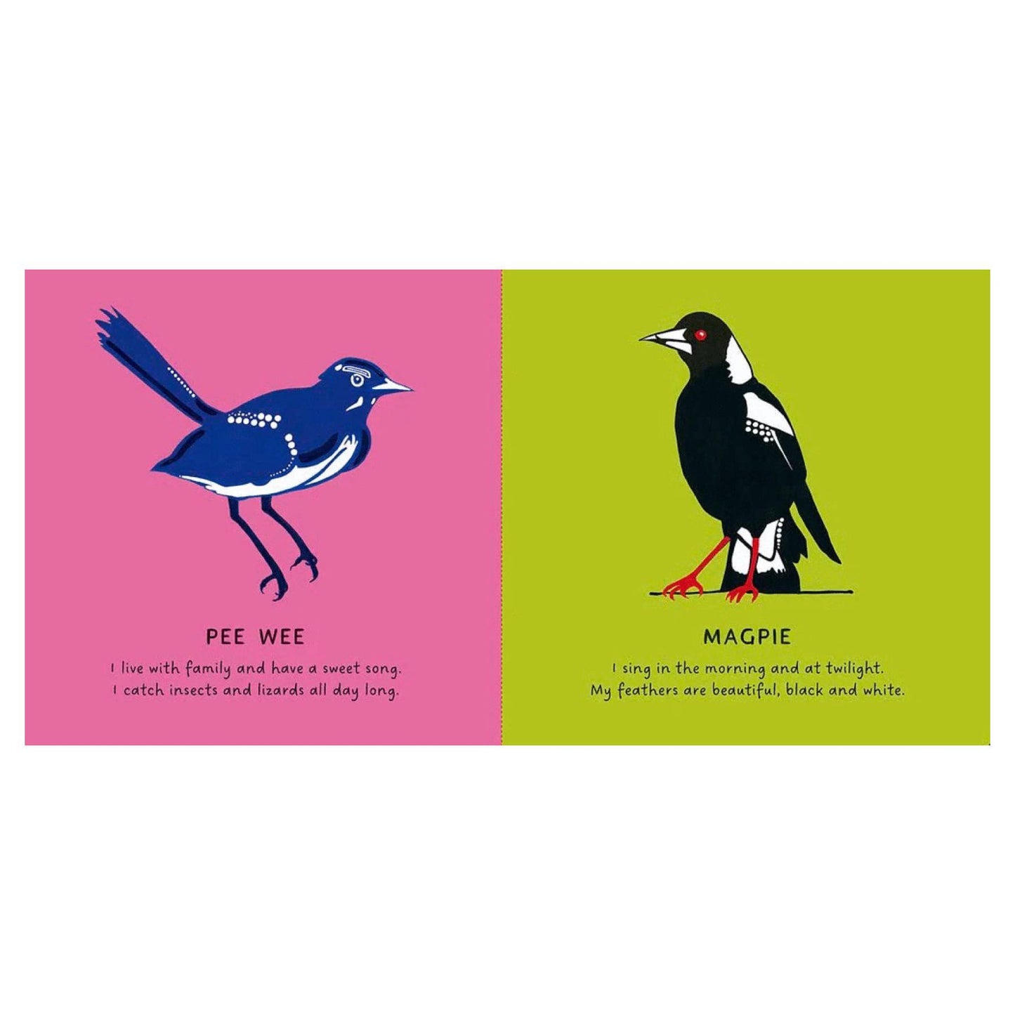 BOOKS & CO - Our Birds by Bronwyn Bancroft