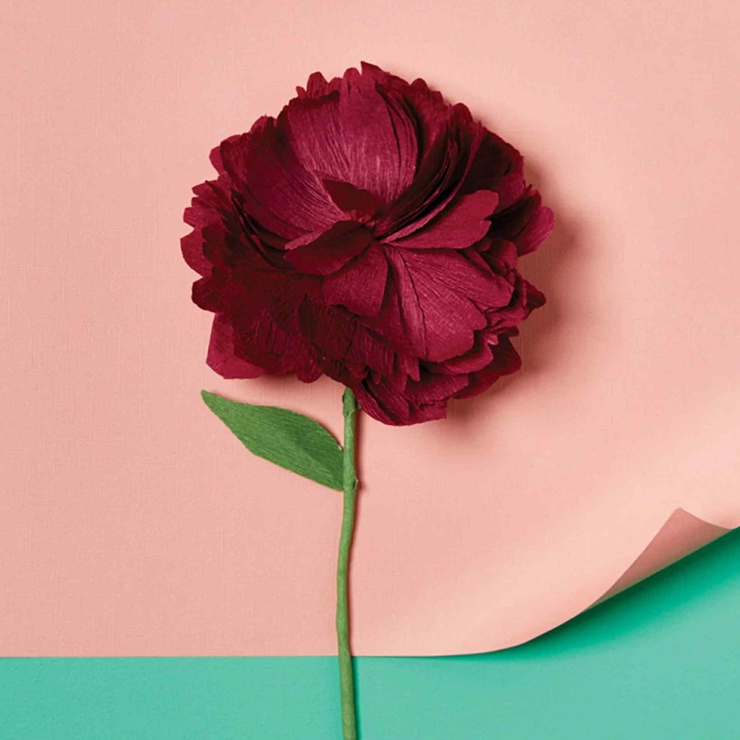 JOURNEY OF SOMETHING- PAPER FLOWER MAKING KIT