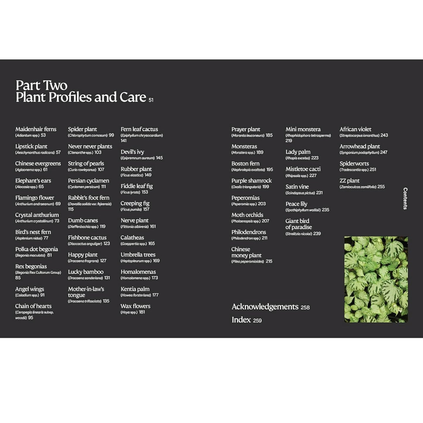 BOOKS & CO - THE PLANT BOOK