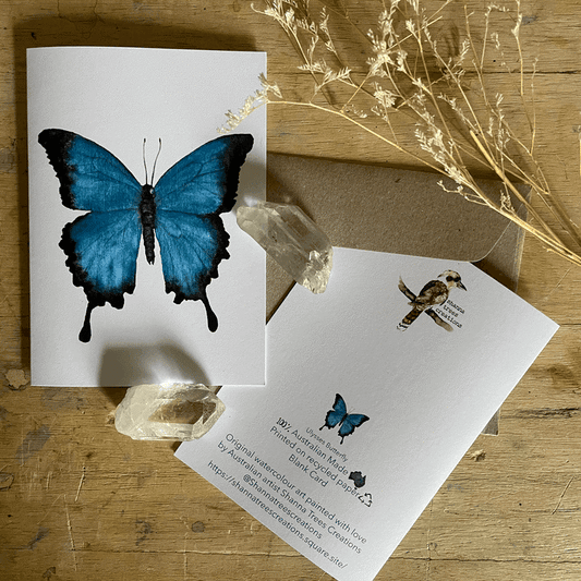 Shanna Trees Creations- Ulysses Butterfly Regular Greeting Card