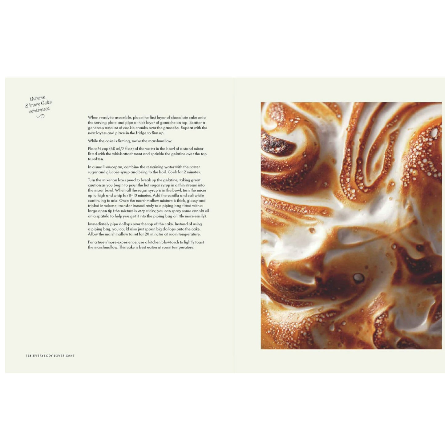 BOOKS & CO - EVERYBODY LOVES CAKE - Alisha Henderson