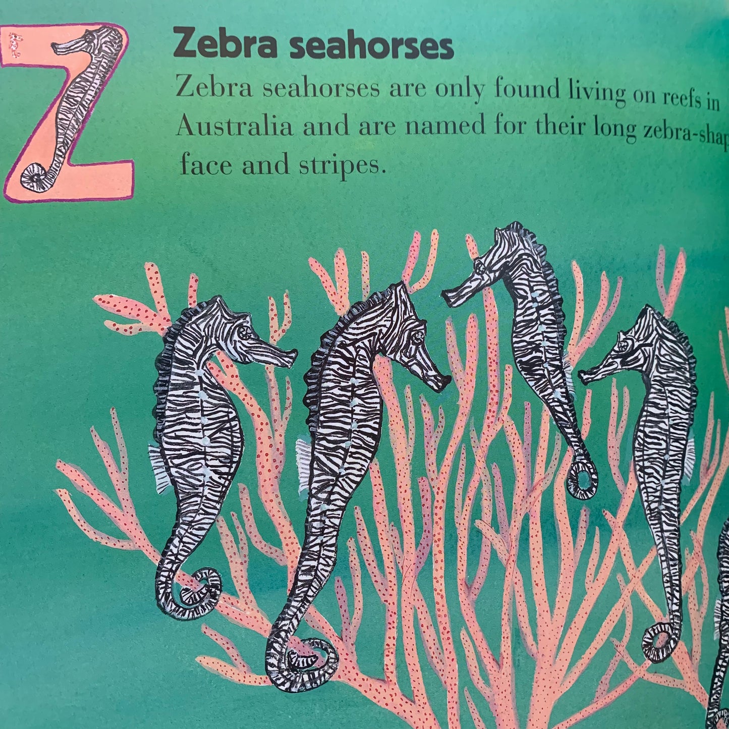 BOOKS & CO - Australia Under the Sea 123 by Frane Lessac- Large Hardcover
