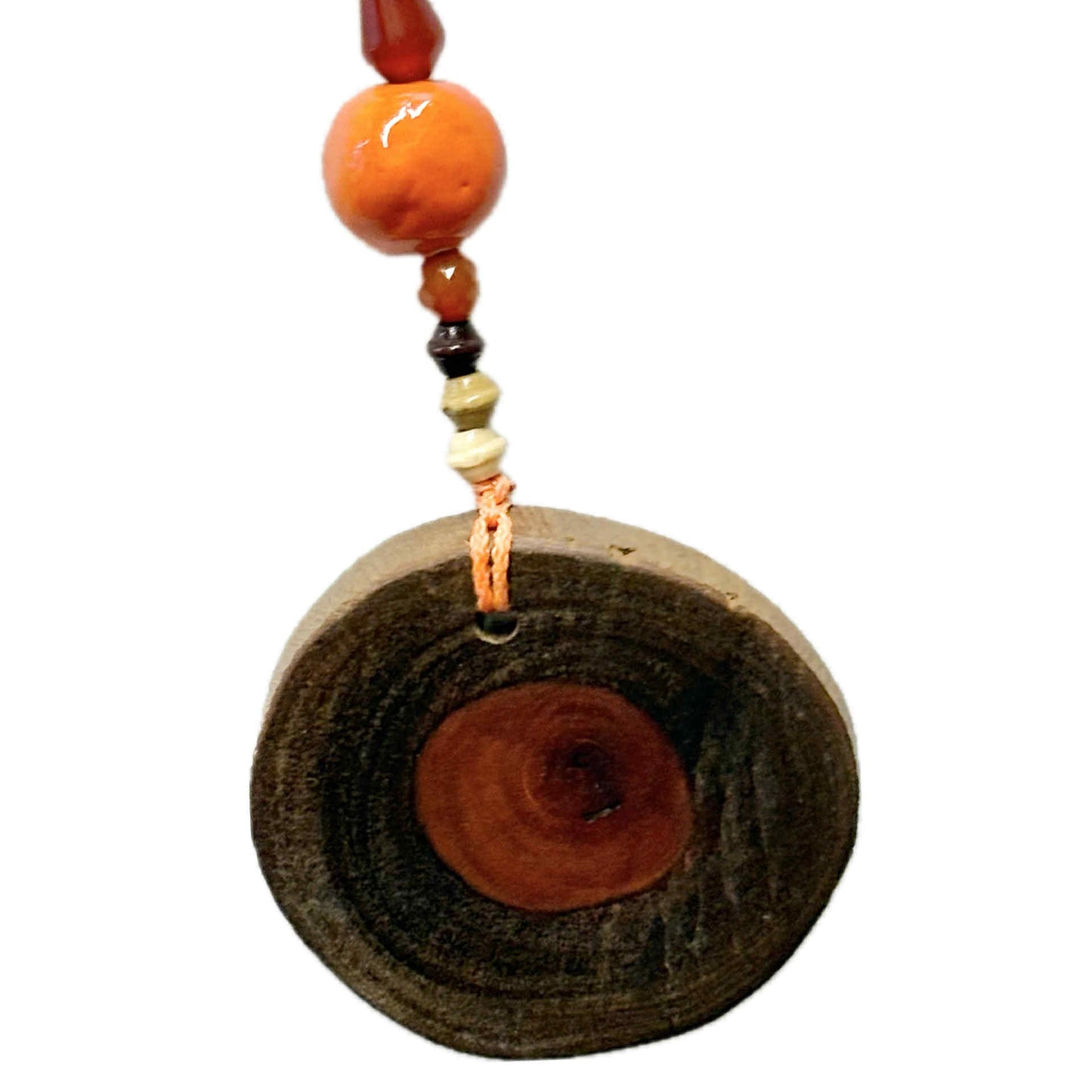INSPIRED BY NATURE - Hanging Verandah Art – Morton Bay Ash and Orange
