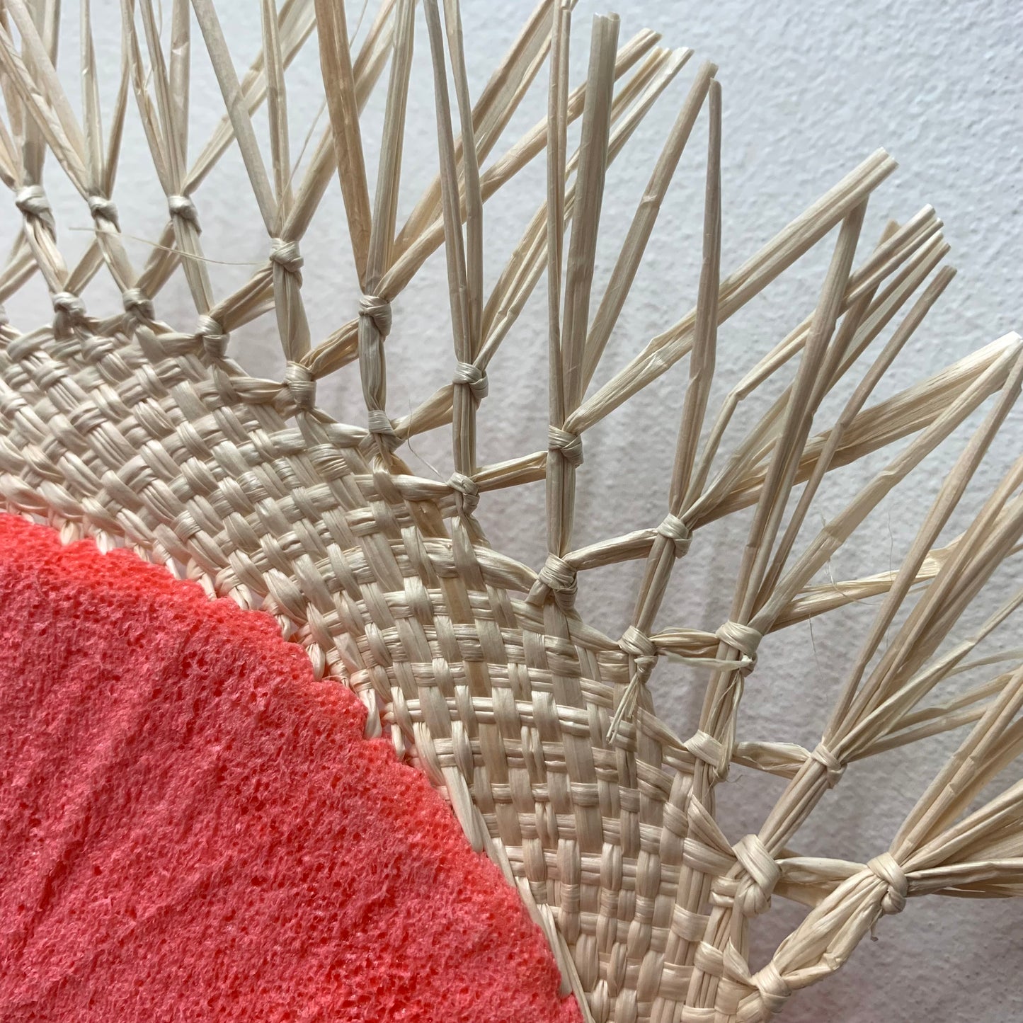 RAEWYN BIGGS ARTWORK - Dust Bunny #5- A Tidy House Exhibition Series