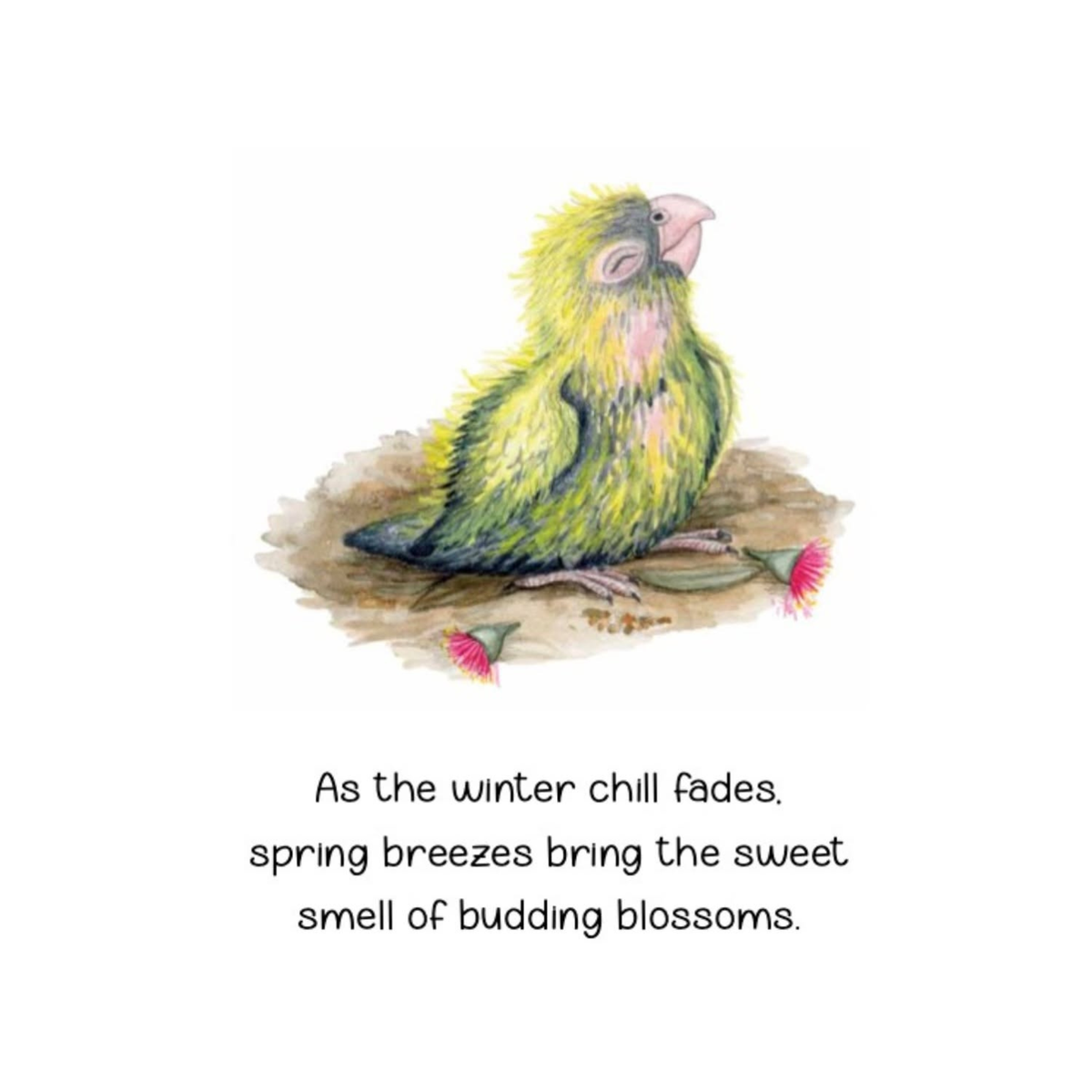 BOOKS & CO- WOMBAT - Cockatoo by Kaye Baillie & Max Hamilton Hardcover