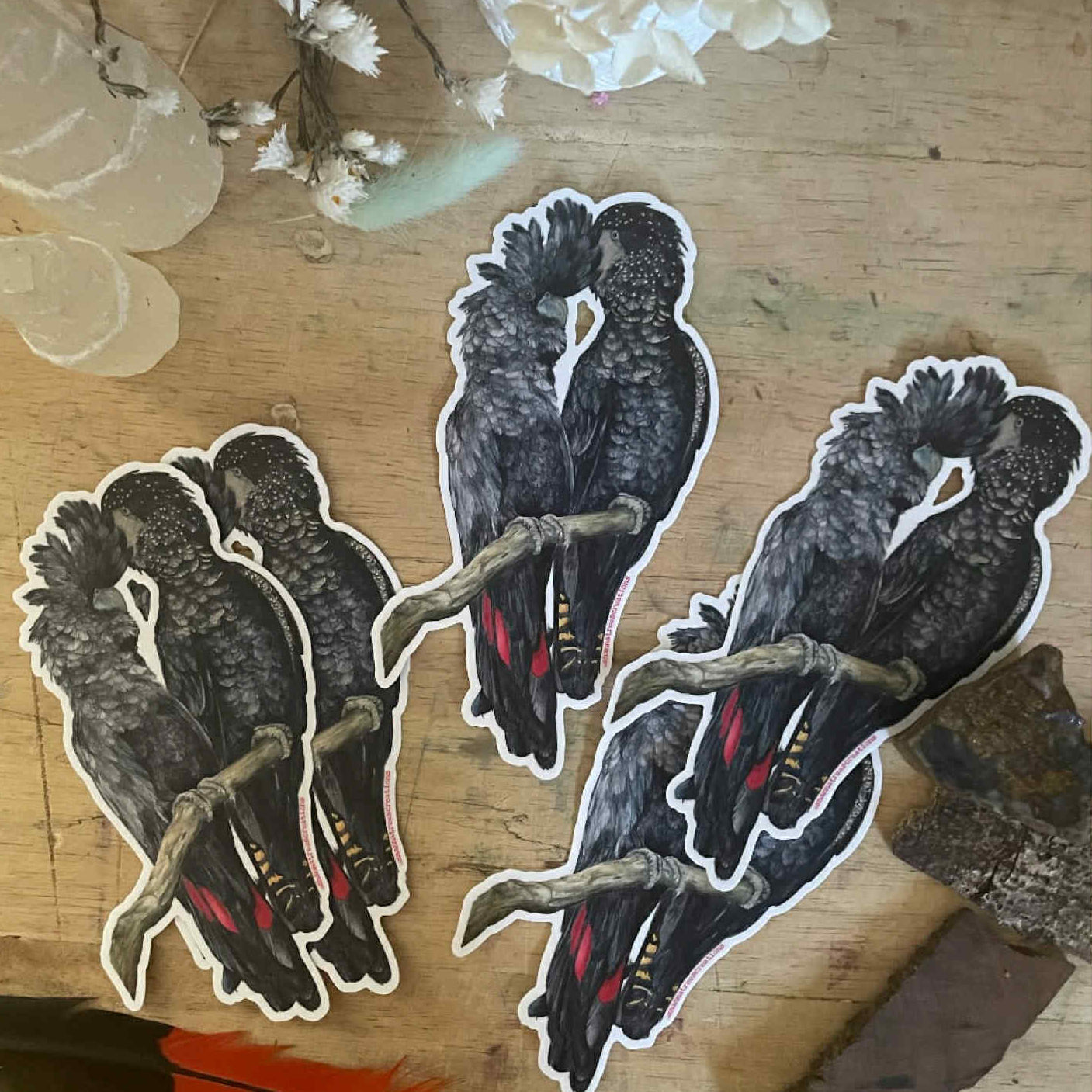 Shanna Trees Creations- Red Tail Black Cockatoo Couple- Large Sticker