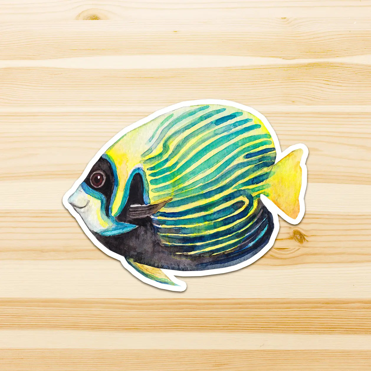 WATERCOLOURS BY CAT- Angel Fish - Large Australian Marine Life Vinyl Stickers