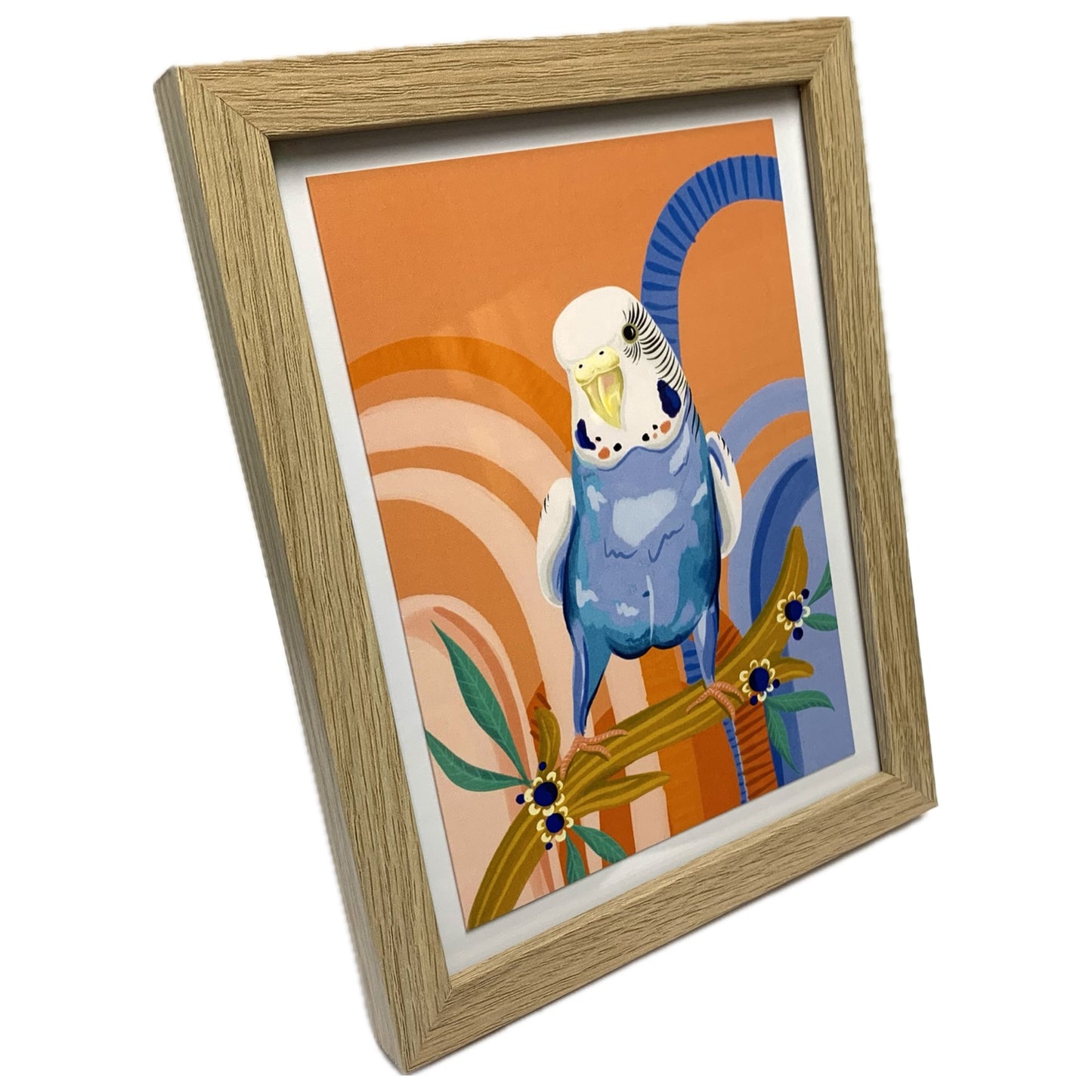 NUOVO - "Blue Budgie" Framed Image- by Emma Whitelaw