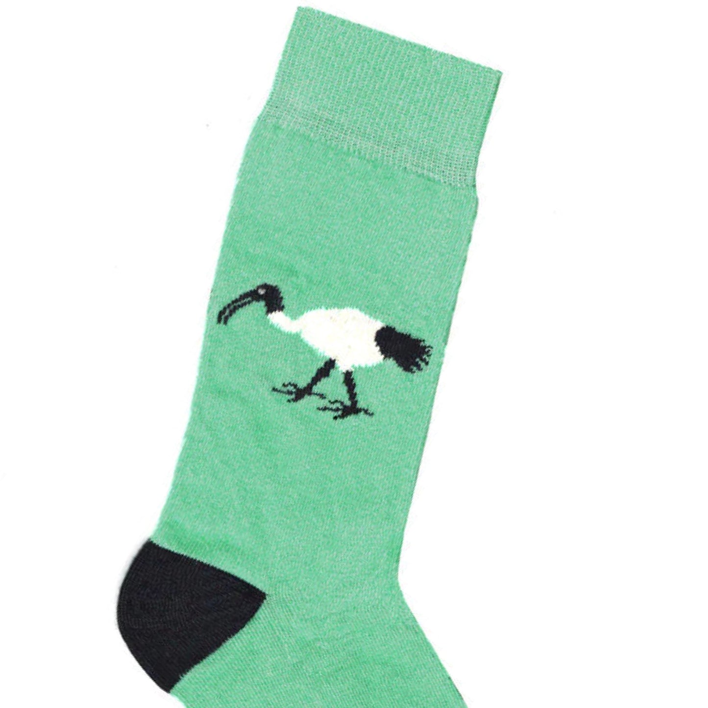 LAFITTE- Ibis (Bin Chicken) Socks- Mint