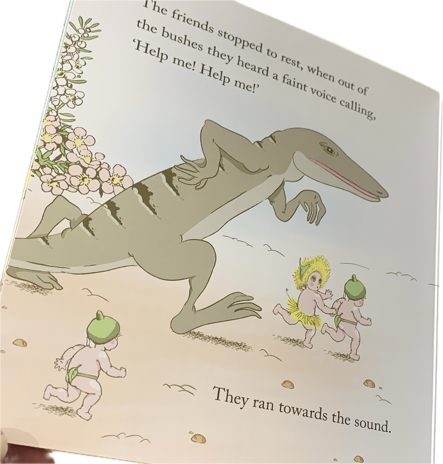 BOOKS & CO - MEET SNUGGLEPOT & CUDDLEPIE-MAY GIBBS - Board Book- CLASSIC