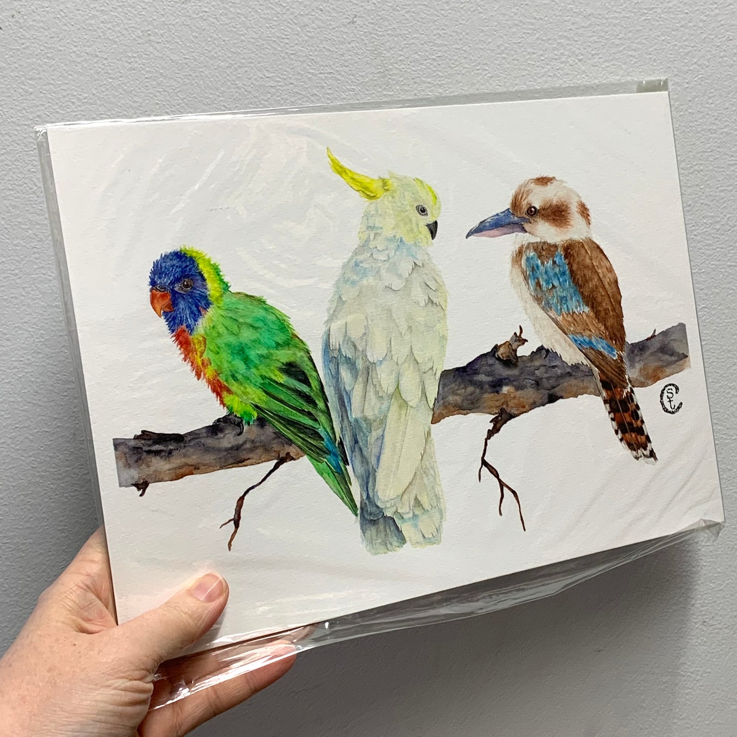 Shanna Trees Creations- "Three Birds" A4 Art Print