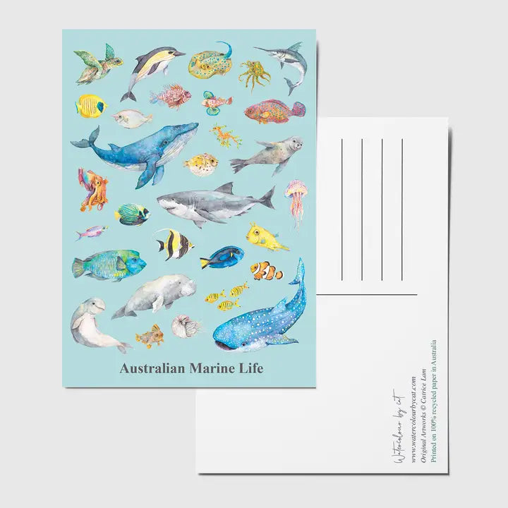 WATERCOLOURS BY CAT- Australian Marine Animals - Recycled Postcard