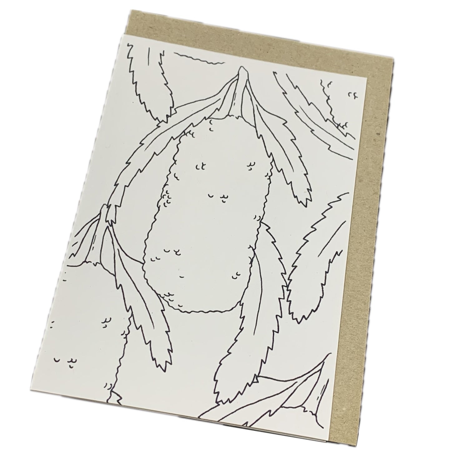 Shanna Trees Creations- "Colour Your Own" Greeting Cards- Set of 5