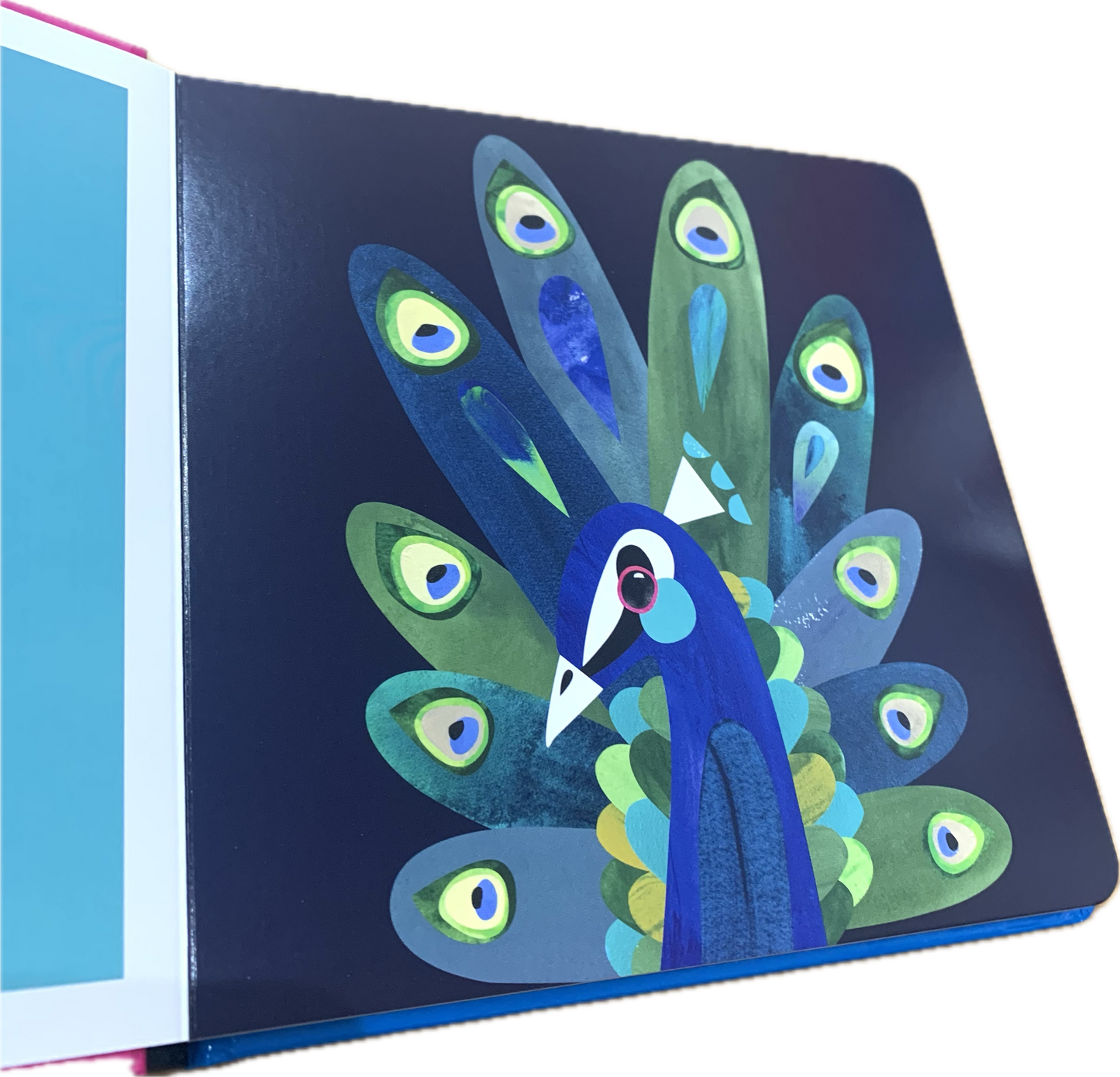 BOOKS & CO - PETE CROMER: AUSTRALIA: FEATHERS - Board Book
