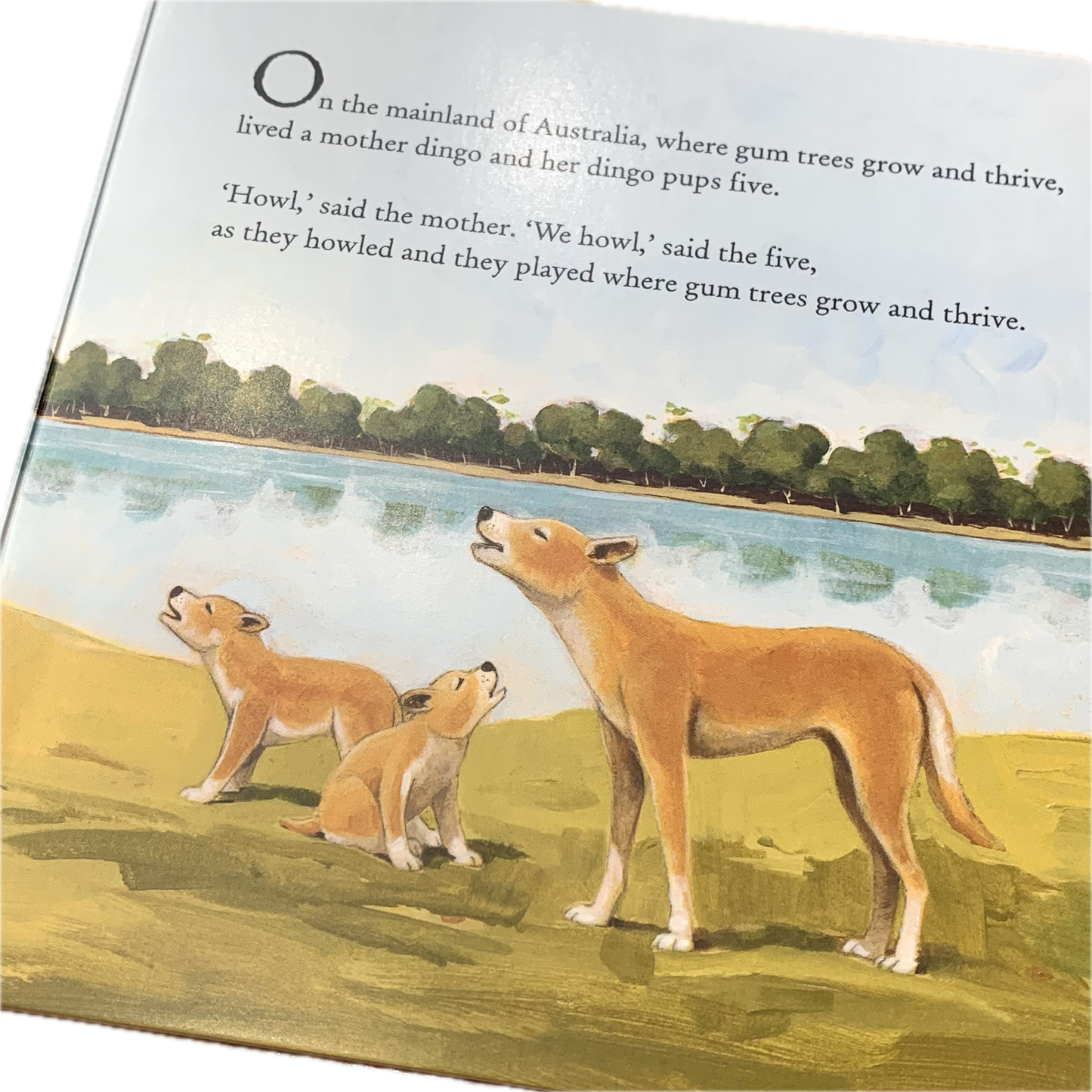 BOOKS & CO - SOMEWHERE IN AUSTRALIA - Marcello Pennachio- Board Book