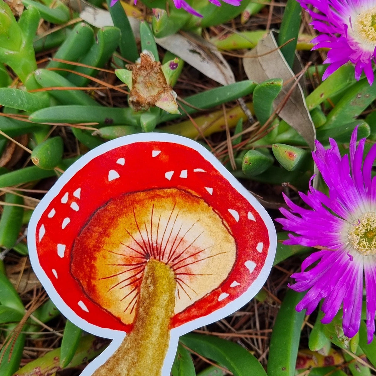 BOSA ART CO - "MUSHROOM"- Vinyl Sticker