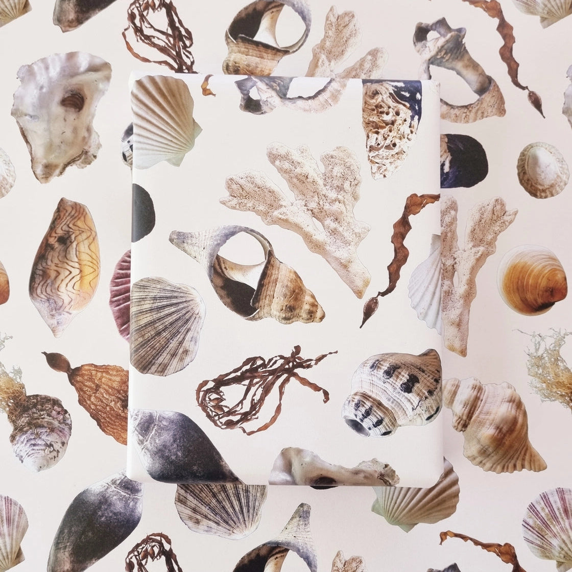 BOSA ART CO - "BEACH TREASURES"- Wrapping Paper