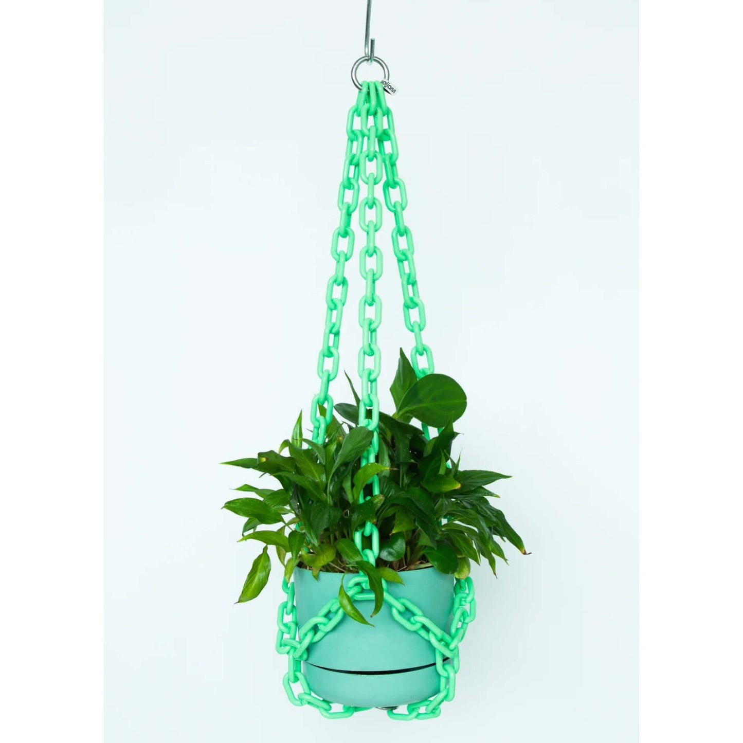 WOLJAM - Mint Plant Chain