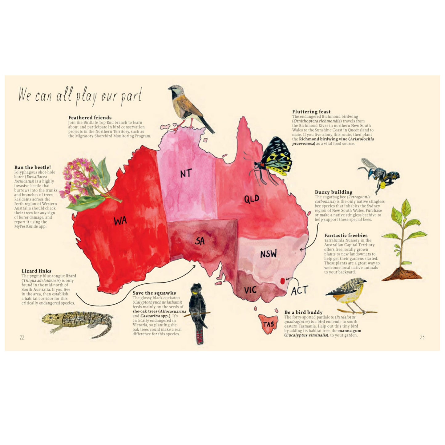 BOOKS & CO - Planting for Native Birds, Bees and Butterflies - Jaclyn Crupi