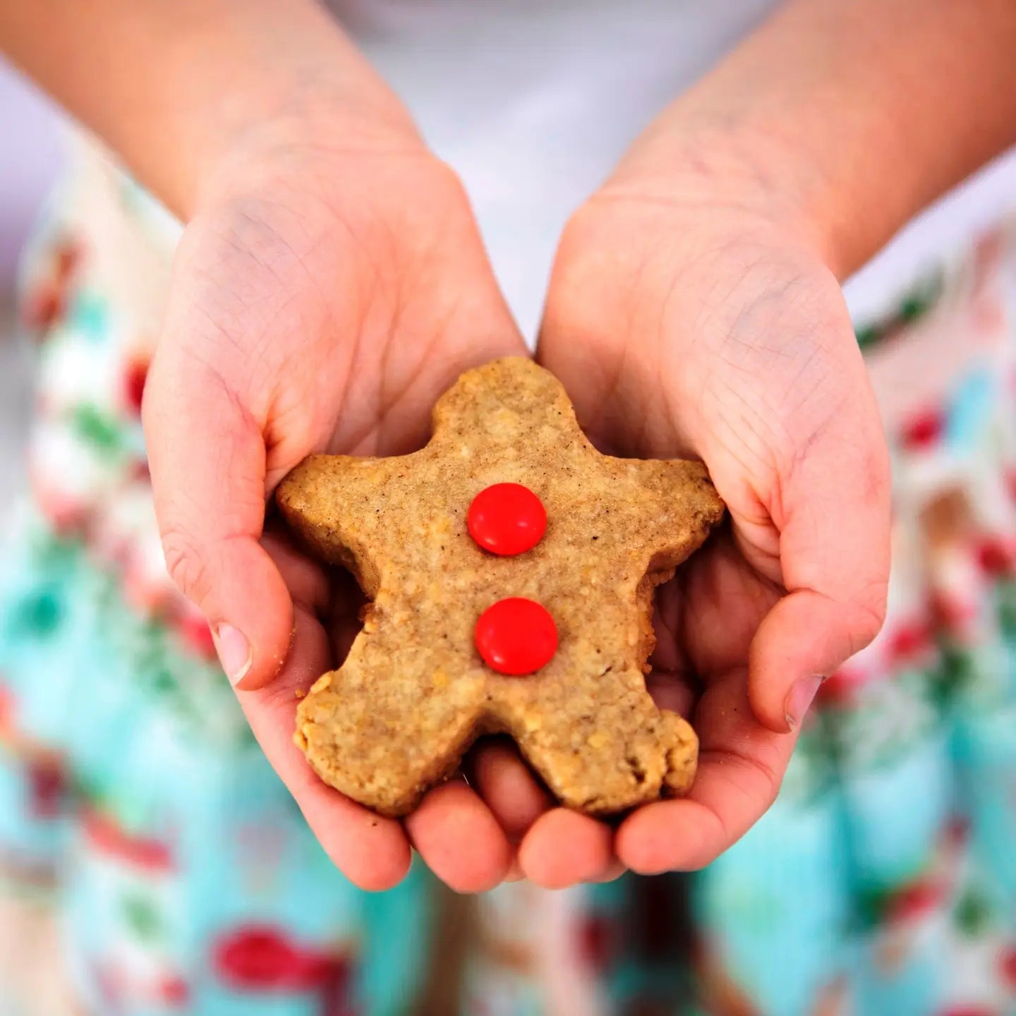 SWEET HEALTH- Gingerbread Dream Cookie Mix Large