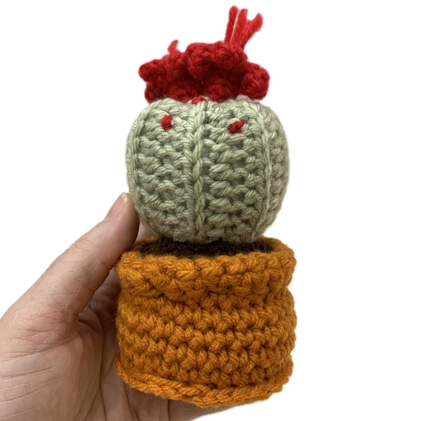 BEAKNITS- CROCHETED CACTUS #3- Red & Sage Green