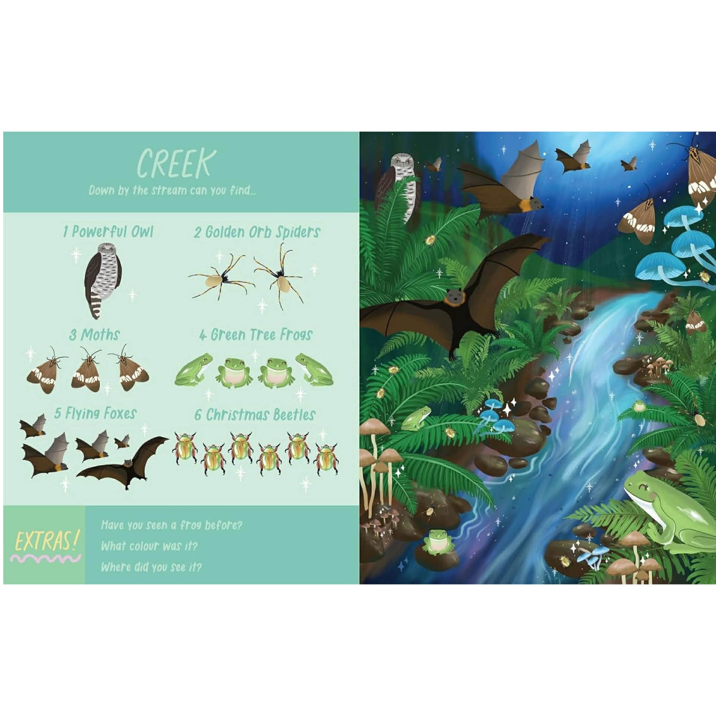 BOOKS & CO - NOCTURNAL ANIMALS: SEARCH AND FIND- Christie Williams