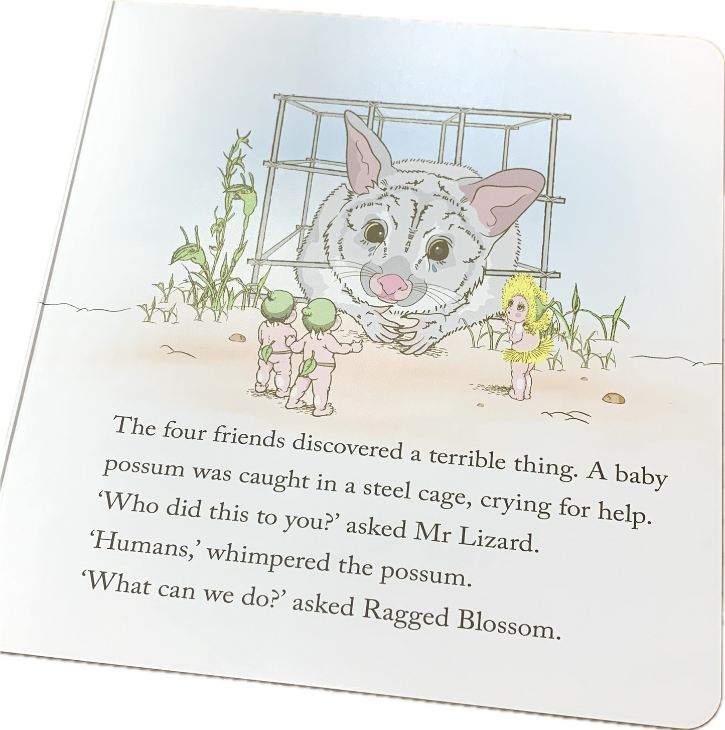 BOOKS & CO - MEET SNUGGLEPOT & CUDDLEPIE-MAY GIBBS - Board Book- CLASSIC