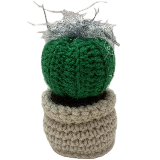 BEAKNITS- CROCHETED CACTUS #14- Fuzzy Green